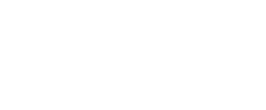 Astronomoid Logo